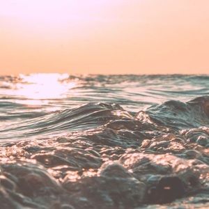 Meet your Posher, Meghan